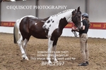 BPP_2597
