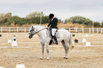 SBM_002903