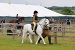 SBM_08105
