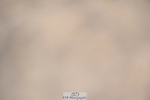 230811-123859-01352