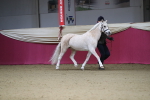 SBM_00196