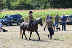 WJ6_7957