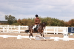 SBM_06228