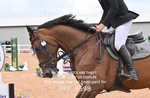 BPP_4598