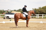 SBM_003650
