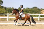 SBM_006796