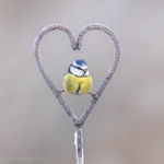New I will melt your heart SD2583