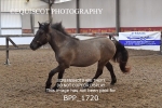 BPP_1720