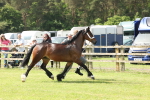 SBM_02260