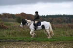 WJ6_9319