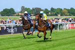 270526-Race 4-Mao Shang Wong-2935