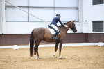 SBM_007931