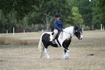 WJ7_4662