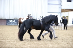SBM_5303