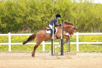 SBM_003783