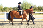 SBM_00366