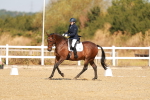 SBM_016662