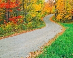 Istock #17552341