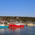 Lobster Boats at Alma Wharf