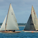 DSC9550