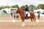 SBM_00971