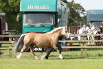 SBM_02054
