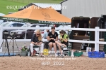 BPP_3022