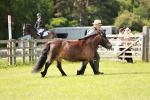 SBM_01812