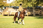 SBM_29392
