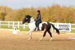 SBM_001708
