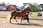 SBM_13922