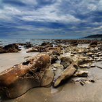 Motunau Beach