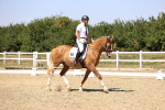 SBM_004894