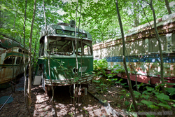 Trolley Graveyard | even if it is the end