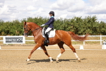 SBM_006215