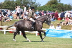 Open Ridden Championship portfolio