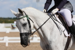 SBM_03903