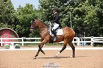 Cls 39 - Freestyle PSG+Young Rider portfolio
