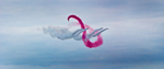 Red Arrows
