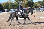 BPP_8934