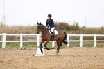 SBM_000653