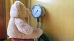 WLLR Teddy Bear Weekend September 2015 7