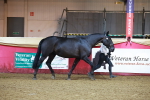 SBM_14808