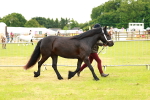 SBM_00371