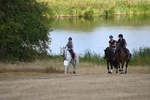 WJ6_8909