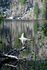 3HPhotography10-6-24_RMNP_0115_