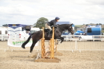 SBM_17831