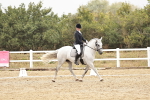 SBM_002889