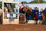 3HRodeo7-12-24_LJD_3HR4175_LJD