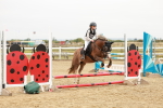 SBM_007287